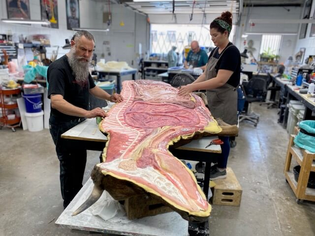 Two special effects artists working on a fake cow carcass cut down the middle for a tv show.