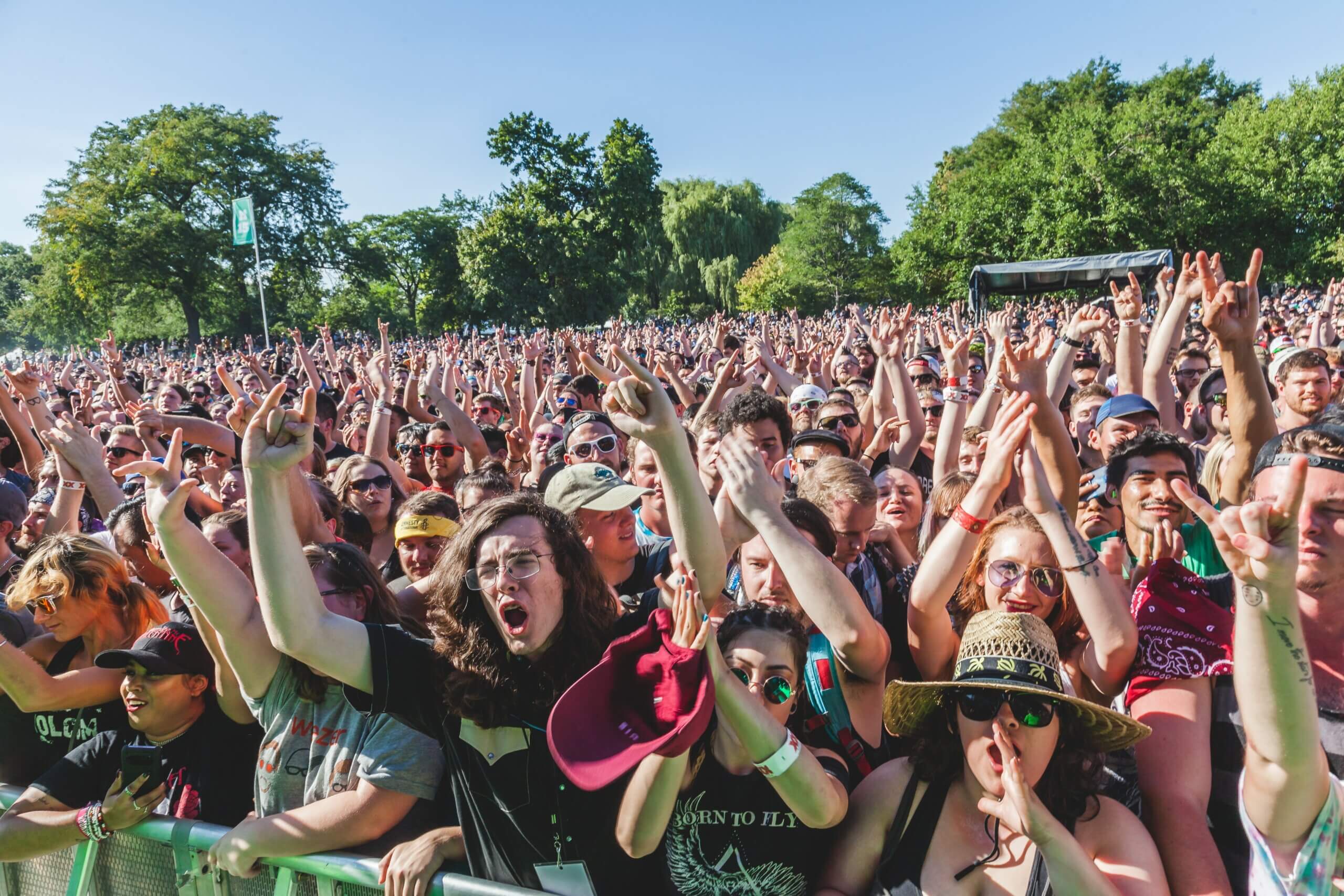 Rowdy music lovers attending an outdoor concert on a sunny day.