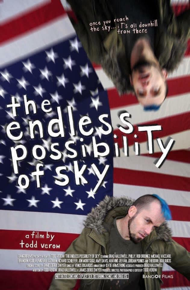 poster for the endless possibility of sky